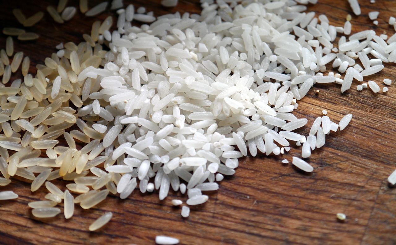 Preços mundiais do arroz atingiram em agosto máximo dos últimos 15 anos - FAO