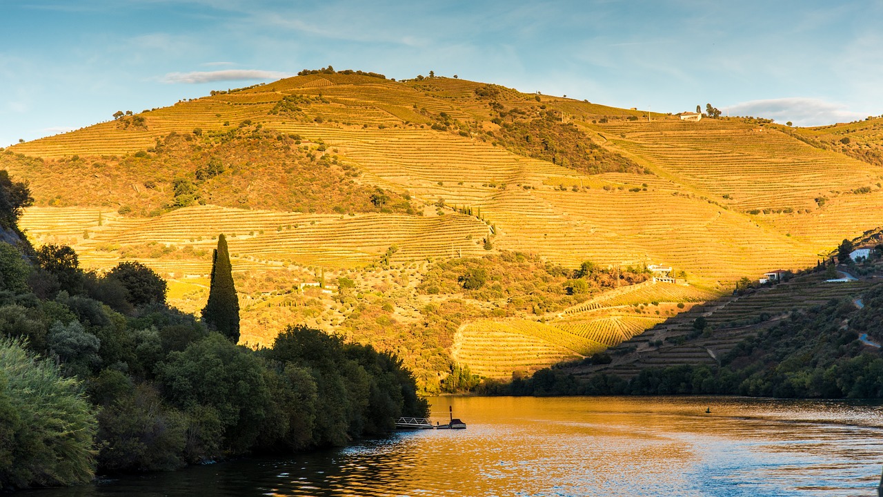 Novo trator para permitir mais videiras no Douro