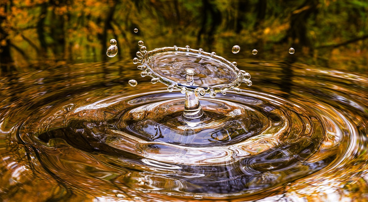 Algarve continua em risco de seca apesar da chuva dos últimos dias