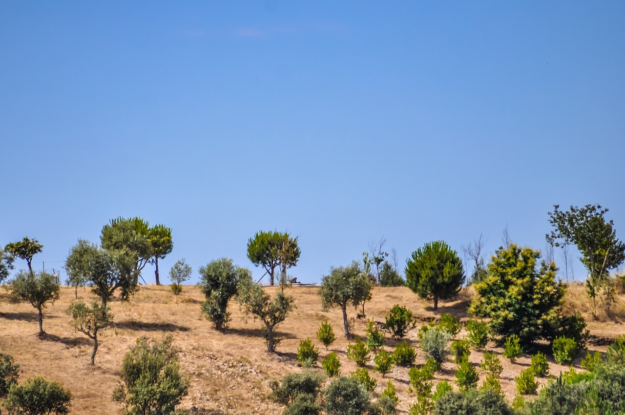 As alterações climáticas chegaram ao interior de Portugal. Como estão os territórios a responder?