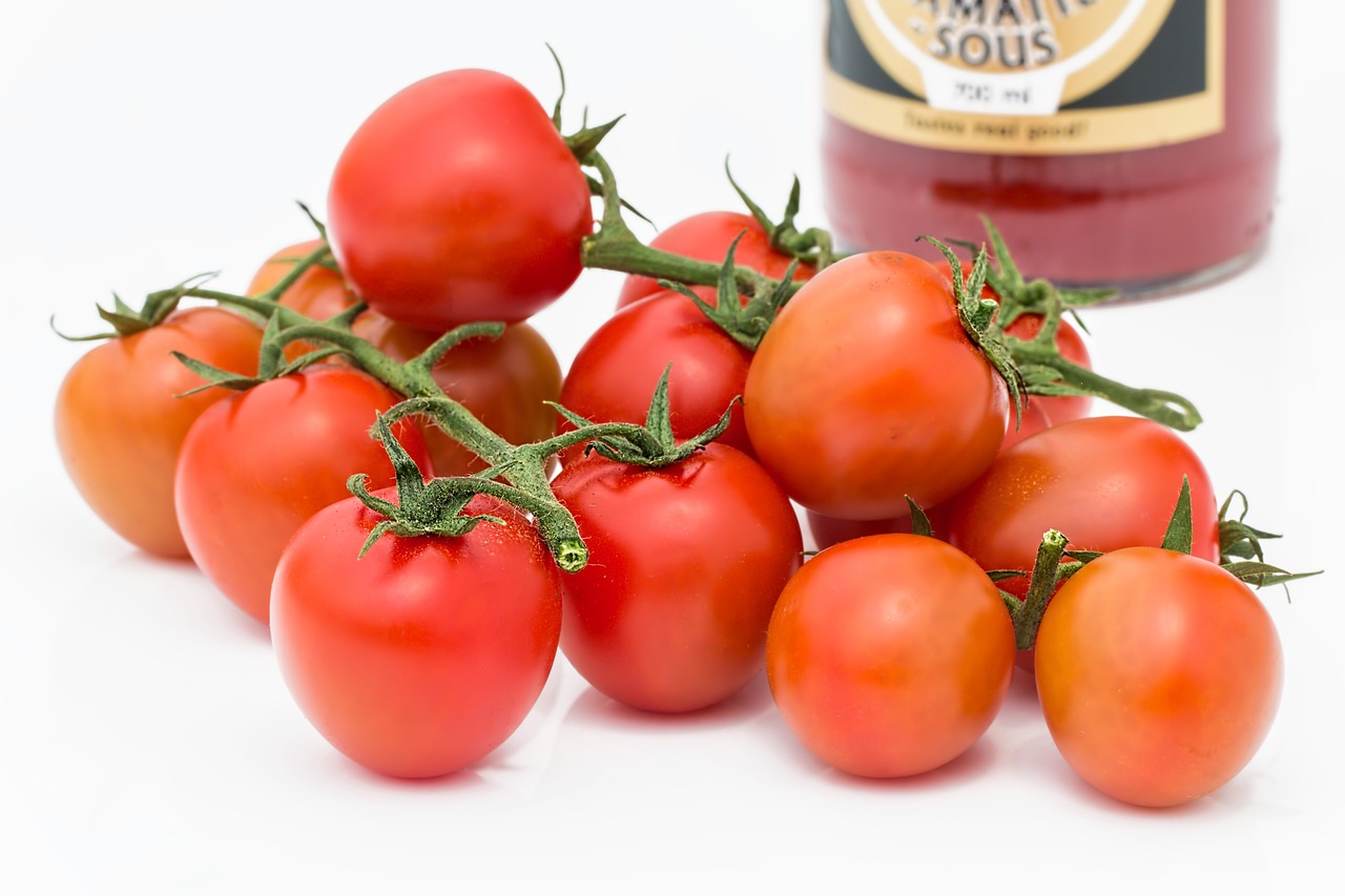 Edição genética | Investigadores chilenos desenvolvem kiwis e tomate geneticamente editados resistentes à seca e salinidade