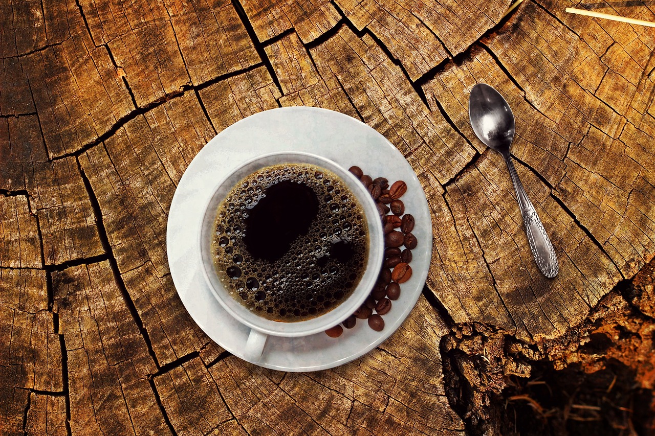 Governo açoriano e Delta firmam protocolo para potenciar produção de café na região