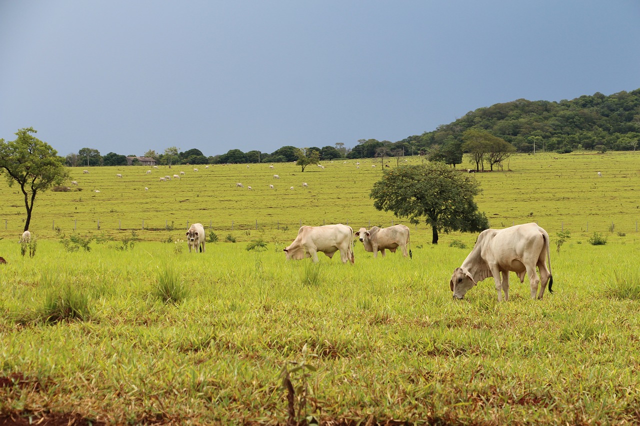 Borda d’Água: há 95 anos a “orientar” o mundo rural