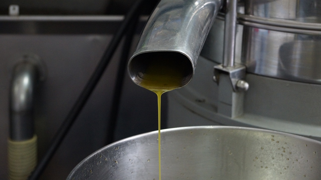 Instituto Nacional de Estatística prevê aumento na produção de azeite