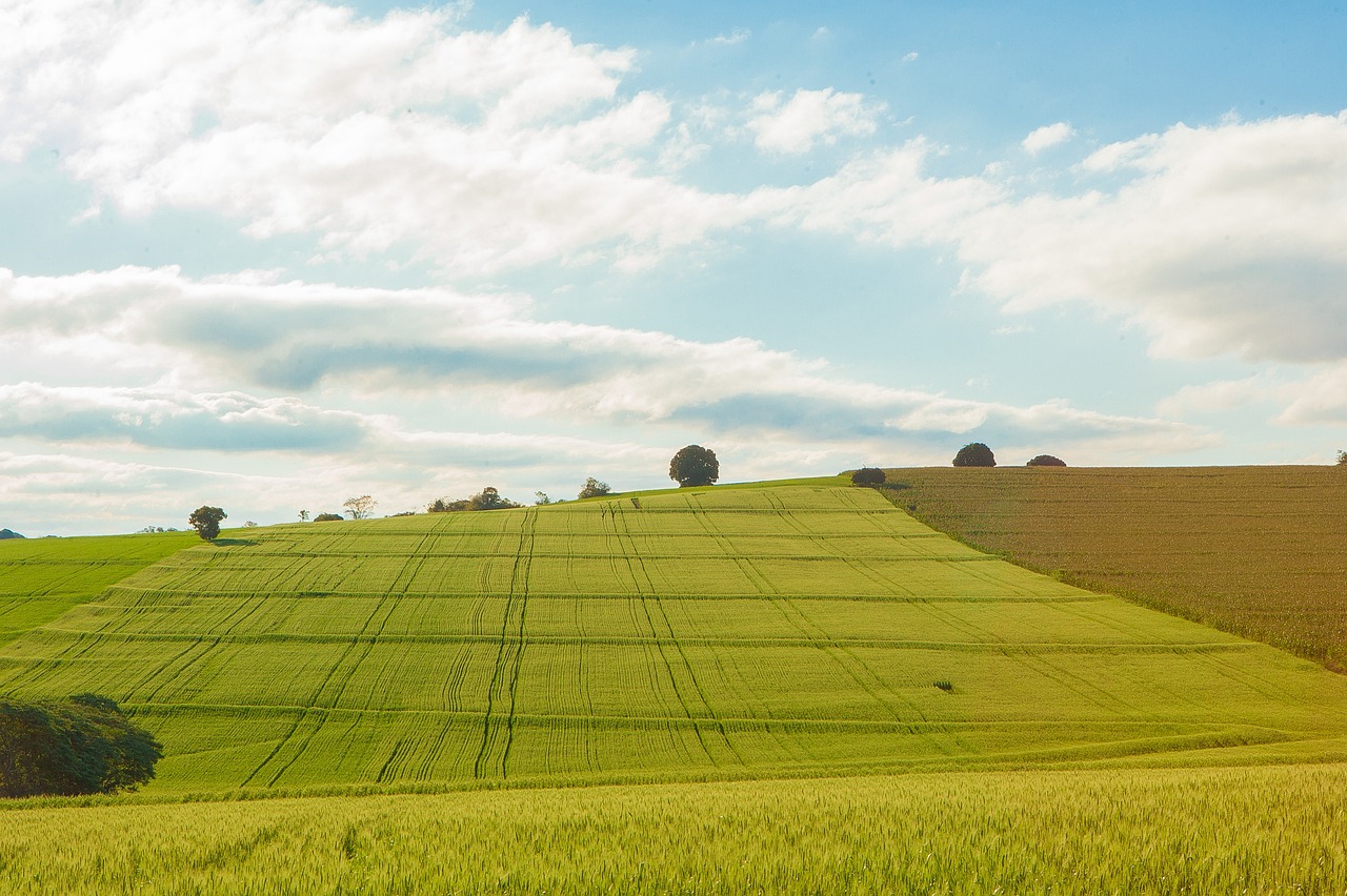 Atualizações | Agroalimentar | 1 – 15 outubro de 2023