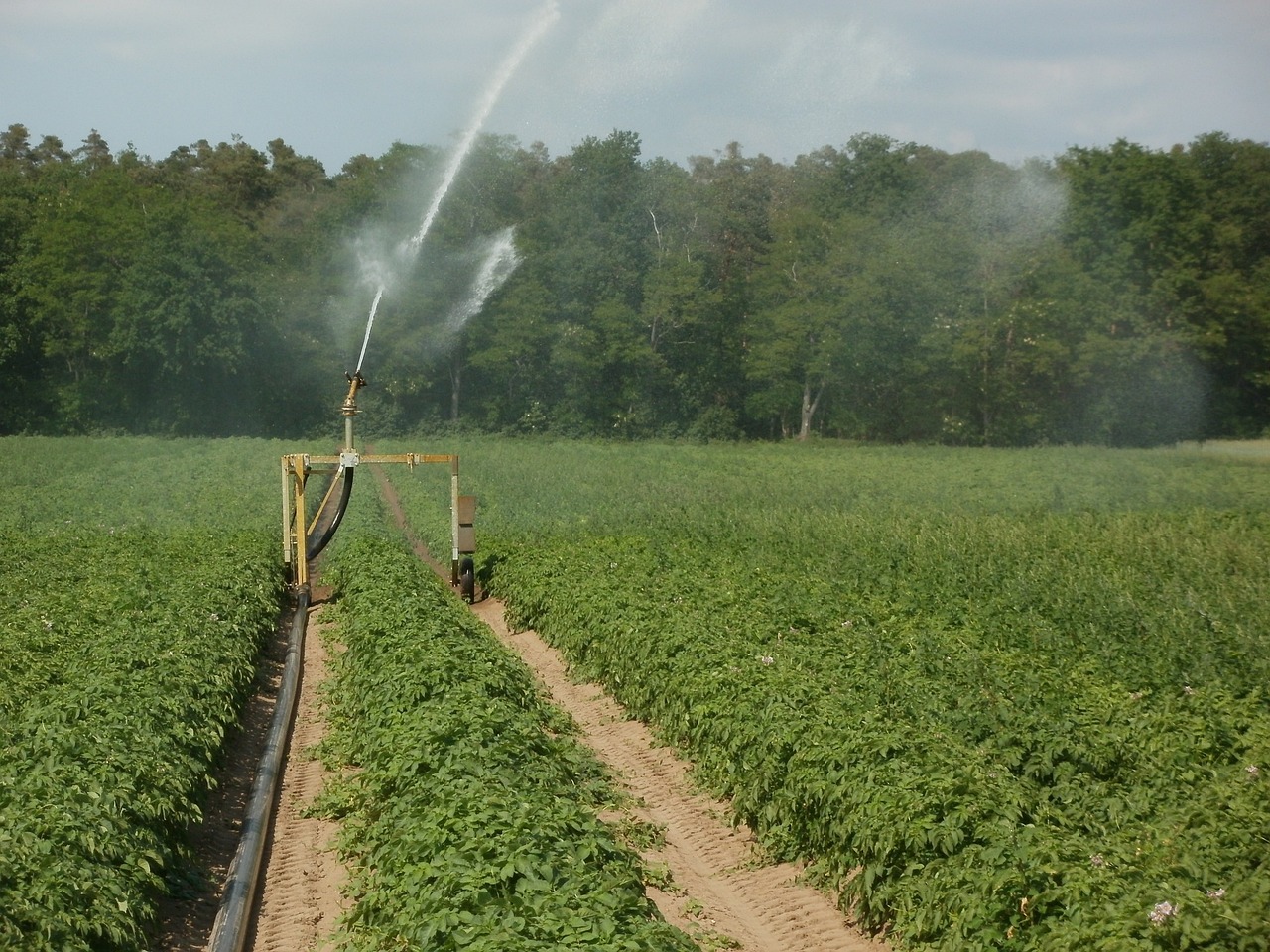 Autarquia e agricultores de Moura contra redução de área do bloco de rega