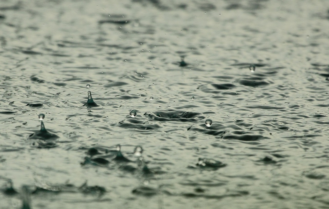 Seca: Chuva traz esperança de melhores dias a criadores de gado no Algarve