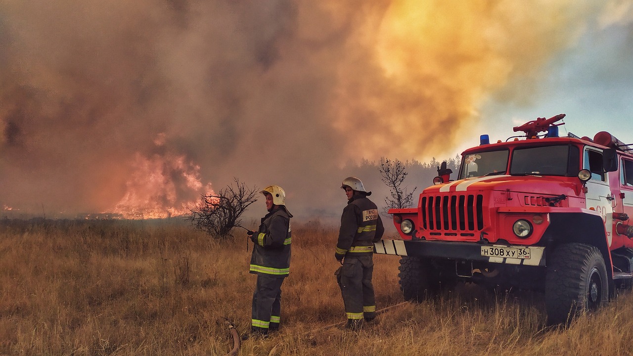 Mais de um milhão de hectares de floresta estão a arder na Rússia