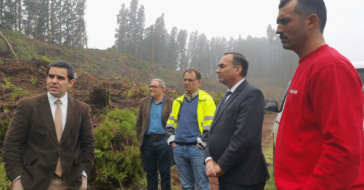 Açores: Exploração e replantação de florestas públicas por empresas privadas potencia economia e sustentabilidade ambiental, defende António Ventura