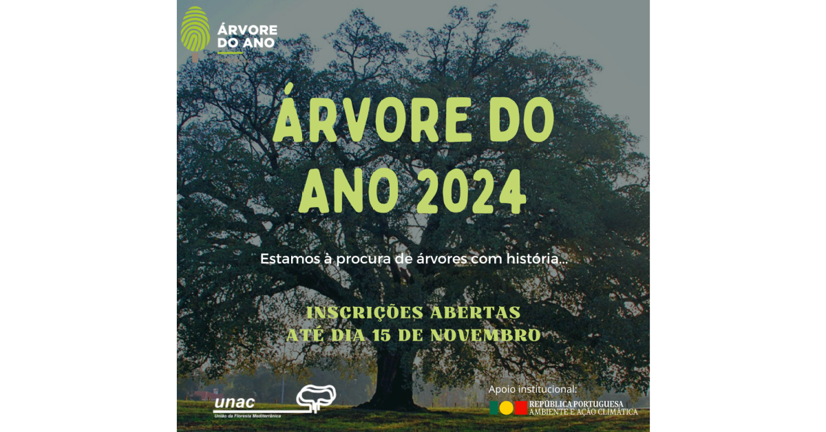 Concurso Árvore do Ano 2024