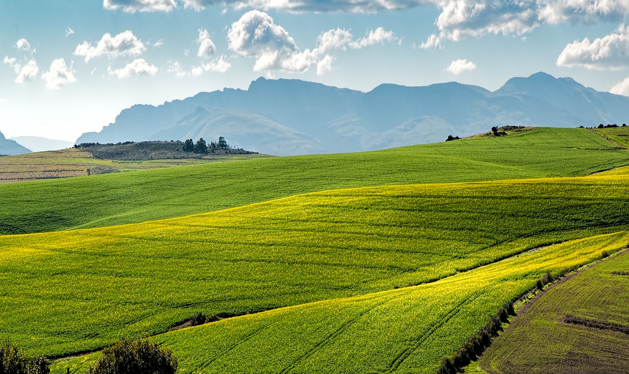 Abreu Advogados: Atualizações | Agroalimentar | 1 - 15 de março de 2024