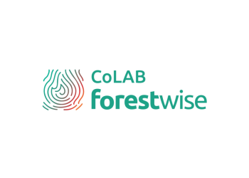 CoLAB ForestWISE