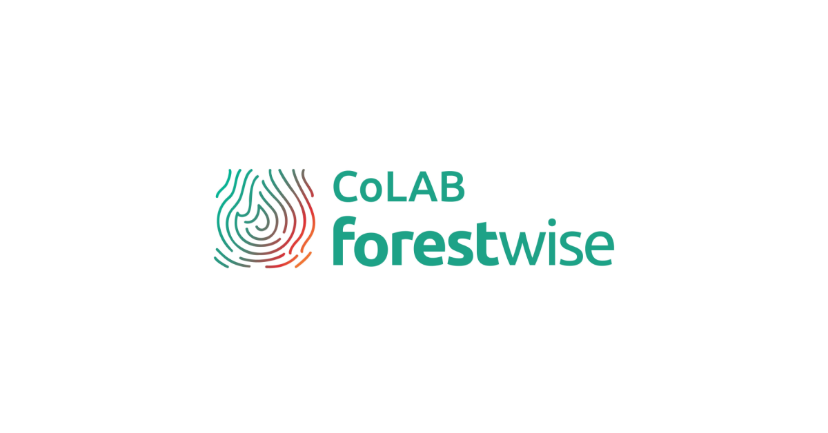 Oferta de Emprego: CoLAB ForestWISE - Gestor de Operações - Engenheiro Florestal - Vila Real