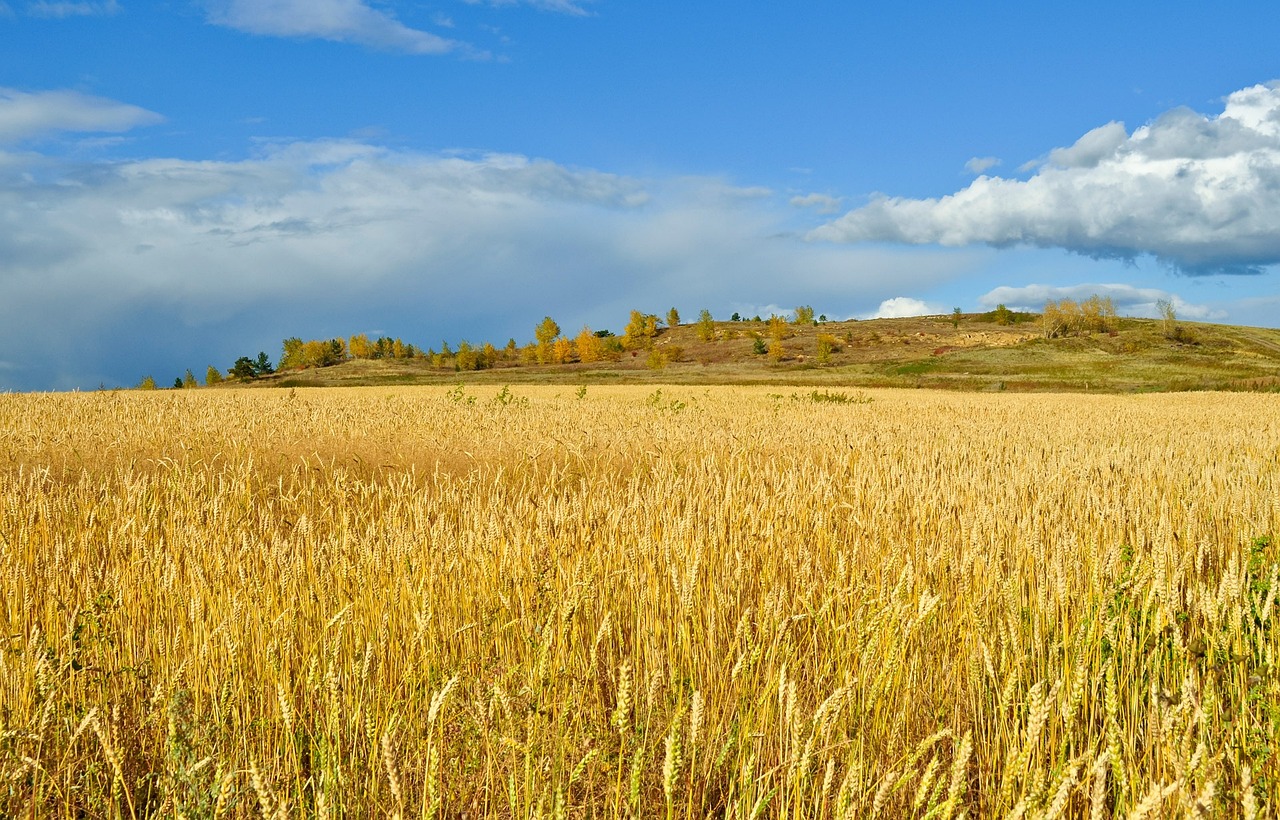 Para onde caminha a agricultura em Portugal?