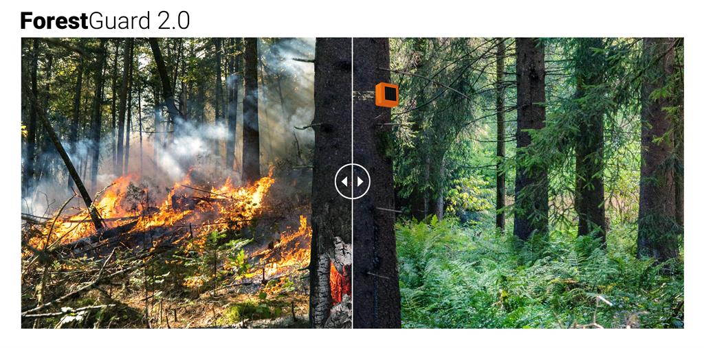 E se as árvores pudessem dar o alerta de incêndio? Eis o ForestGuard