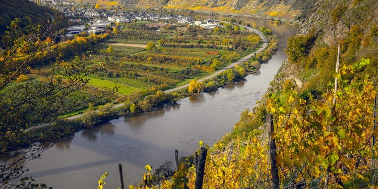 vineyards river