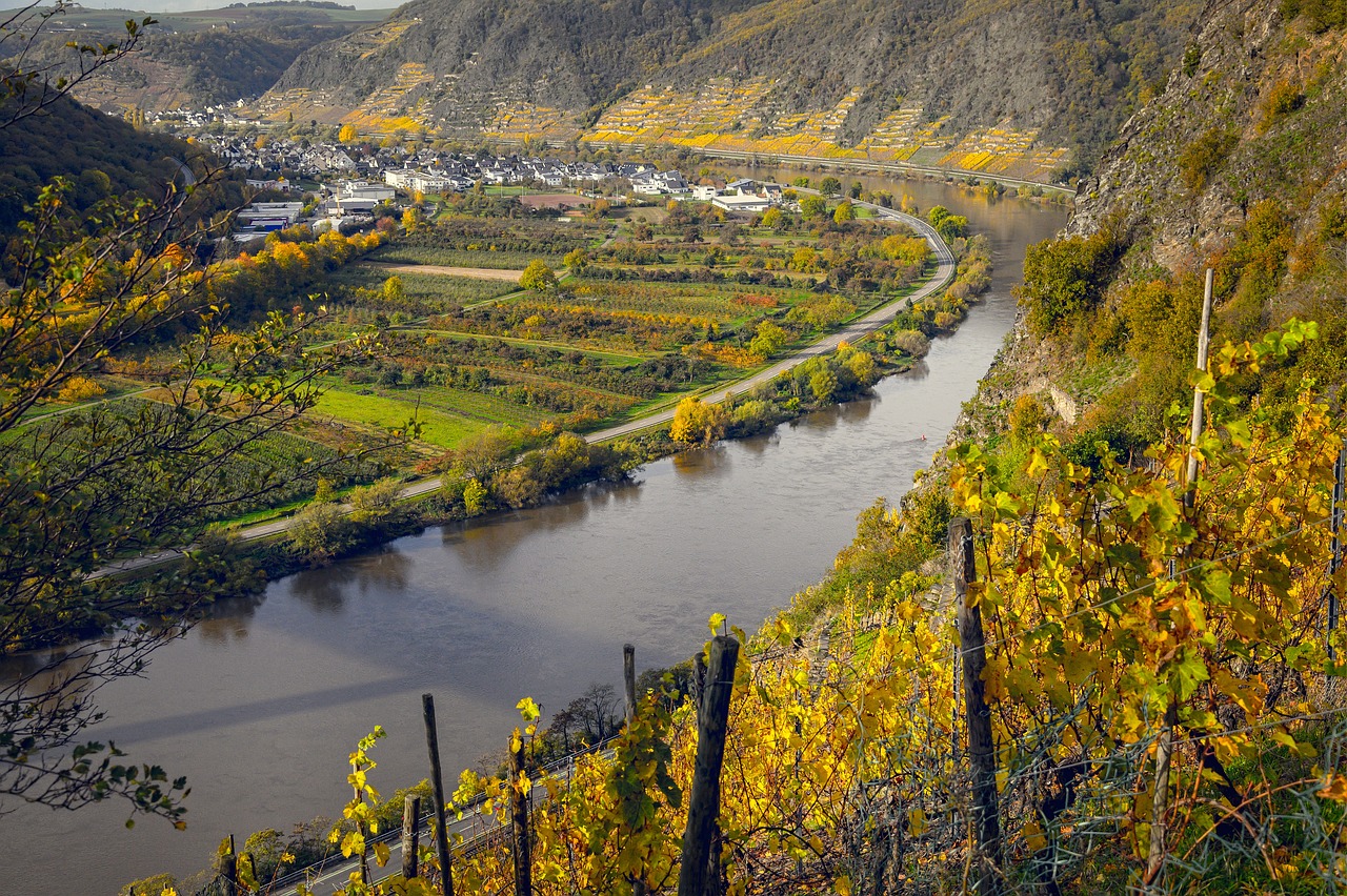 Região Demarcada do Douro escolhida como “Solo do Ano” 2024