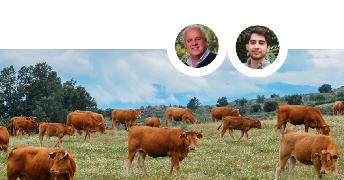 Análise do impacto do PEPAC sobre os apoios directos aos rendimentos dos produtores de bovinos de carne em extensivo em Portugal Continental - Francisco Avillez e Gonçalo Vale
