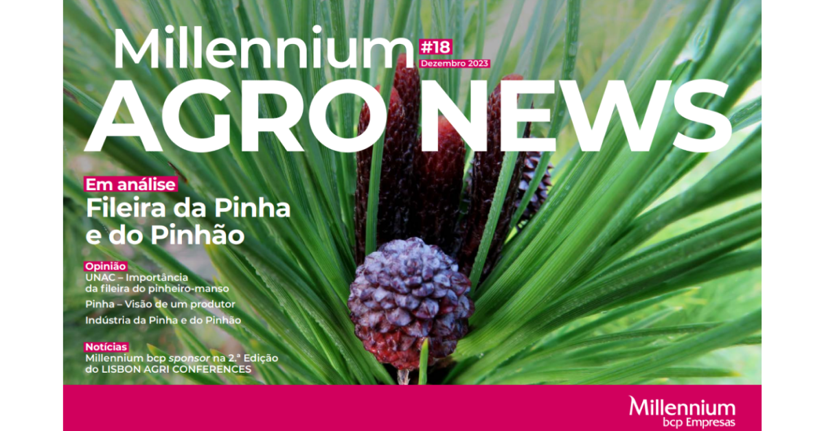 Millennium Agro News – 18ª Edição: Fileira da Pinha e do Pinhão