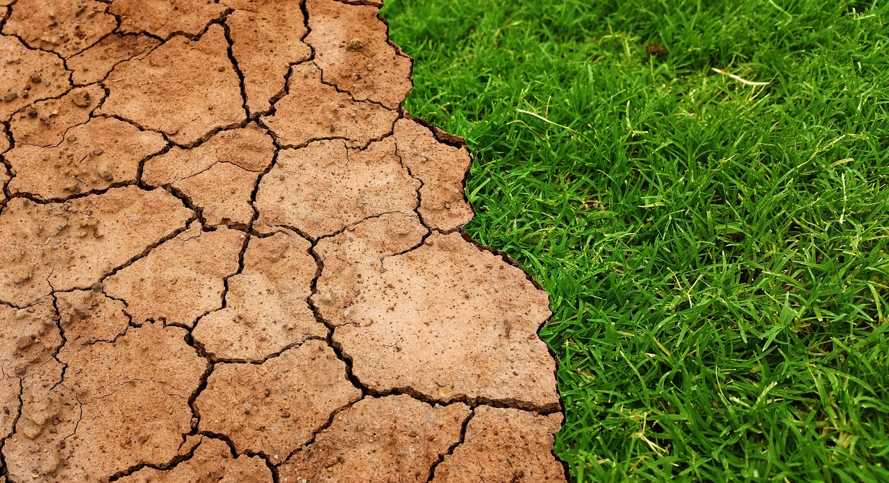 Algarve enfrenta grave seca: agricultores precisam “de água para amanhã”