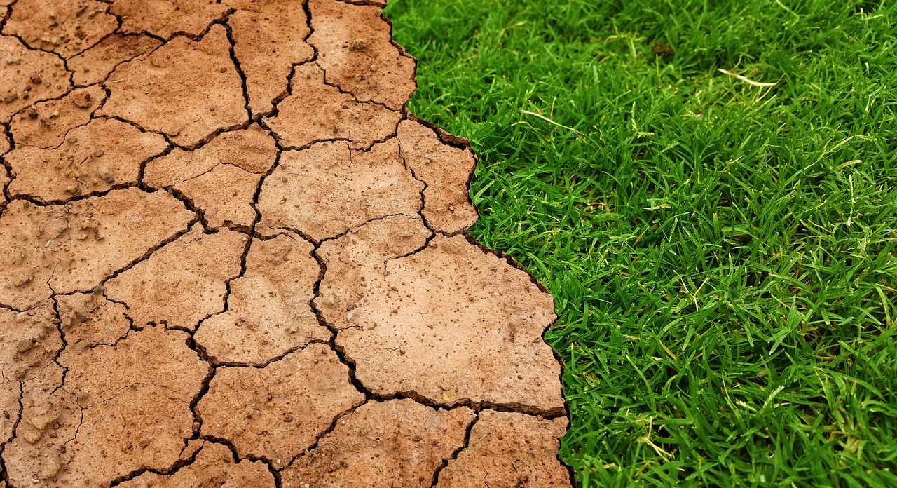 Situação de seca fraca aumentou em novembro na região Sul