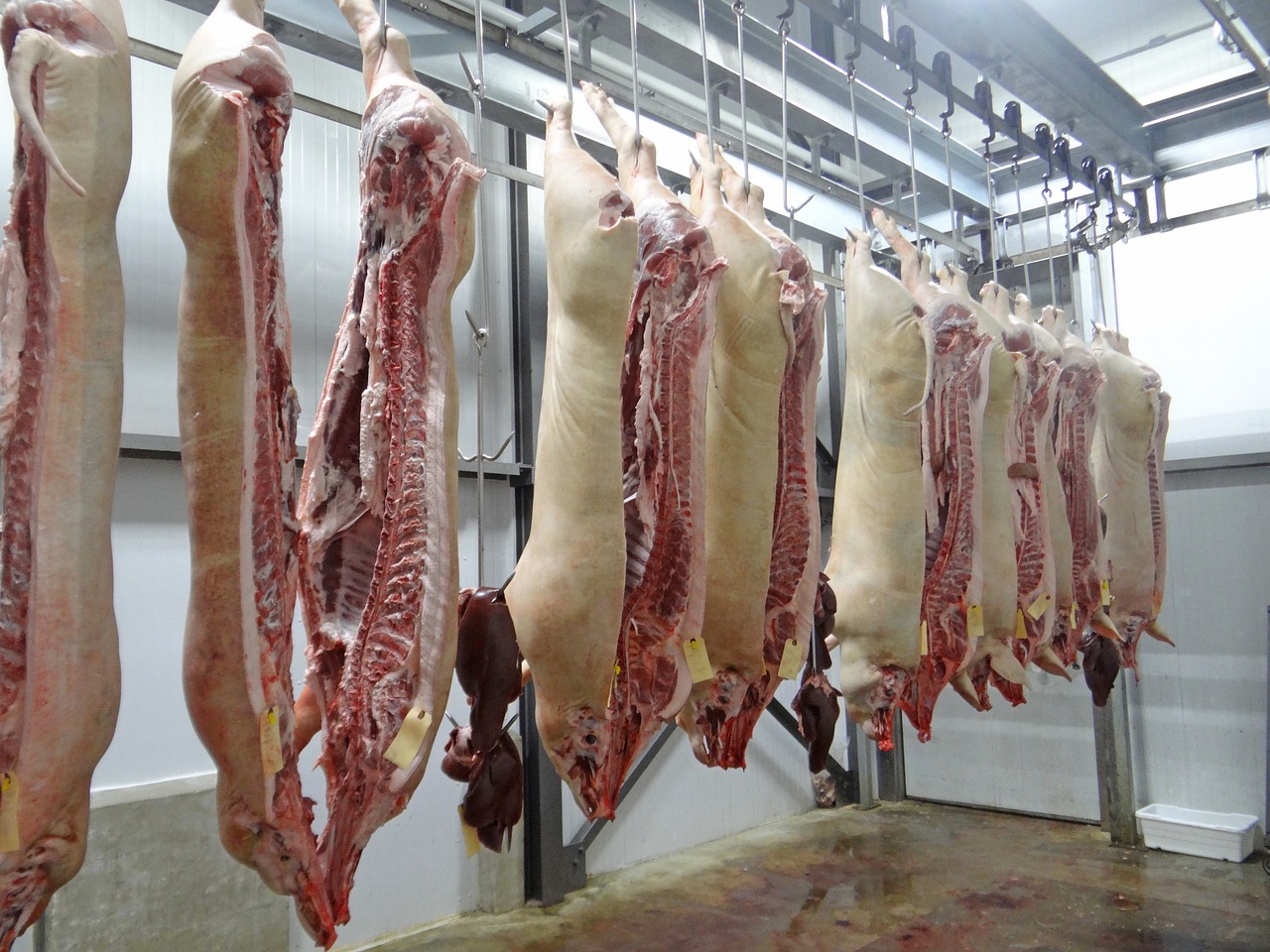 ASAE instaura 19 contraordenações contra talhos e apreende carne e queijos