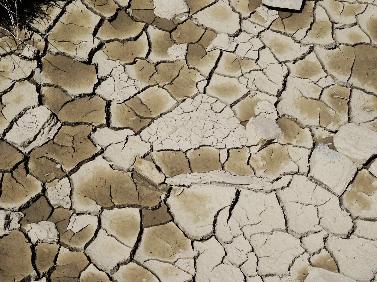 Seca: Algarve continua em seca hidrológica extrema mesmo após últimas chuvas - APA