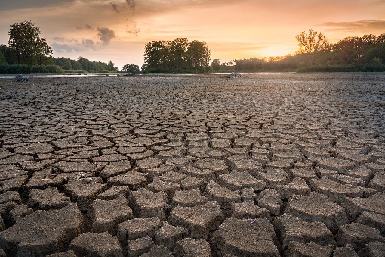 Seca: Água no Algarve é a mesma e agricultura vai ter prejuízos - associação