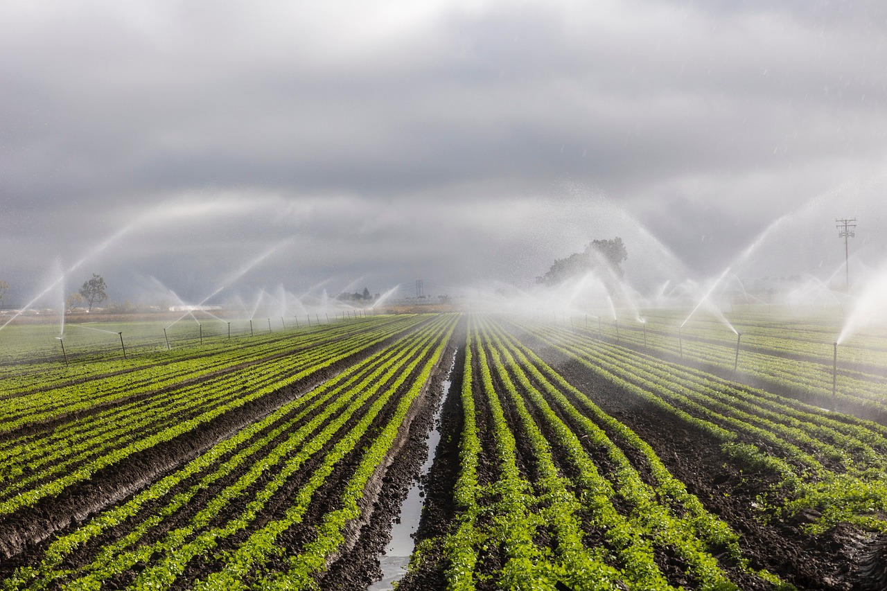 Seca: APA quer cortes de água no Algarve de 70% para agricultura e 15% para consumidores - AMAL