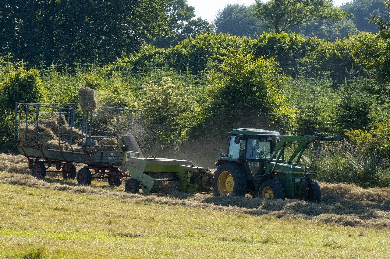 Bispo do Porto diz que agricultura é hoje “uma arte de empobrecer tristemente”