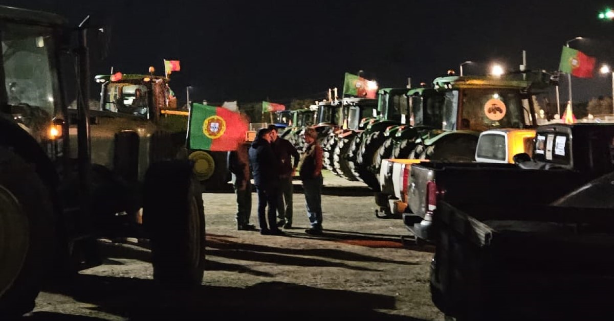 Síntese: UE/Agricultores: Protestos bloquearam país e forçaram Governo a dar garantias