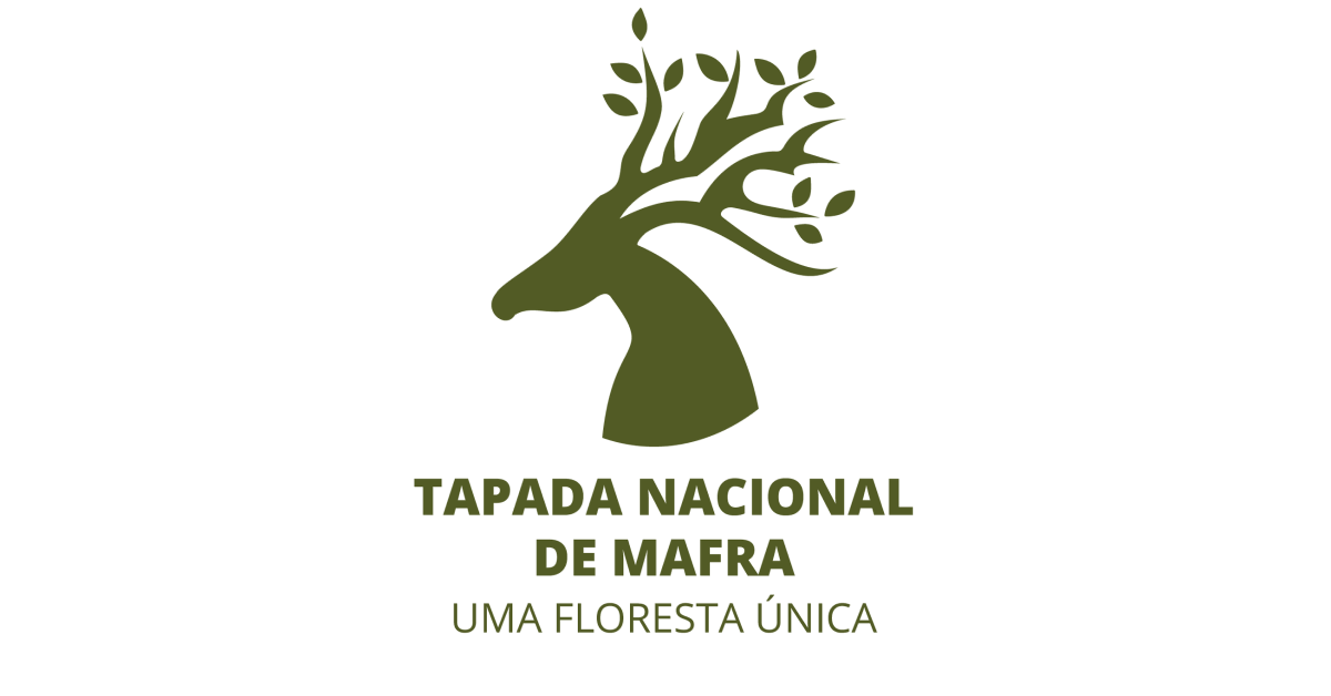Oferta de Emprego: Tapada Nacional de Mafra - Engenheiro Florestal - Mafra