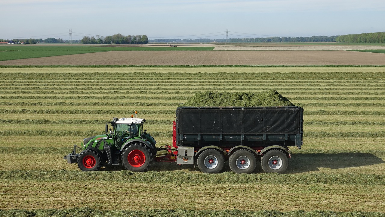 UE/Cimeira: Comissão vai apresentar proposta para reduzir encargos de agricultores