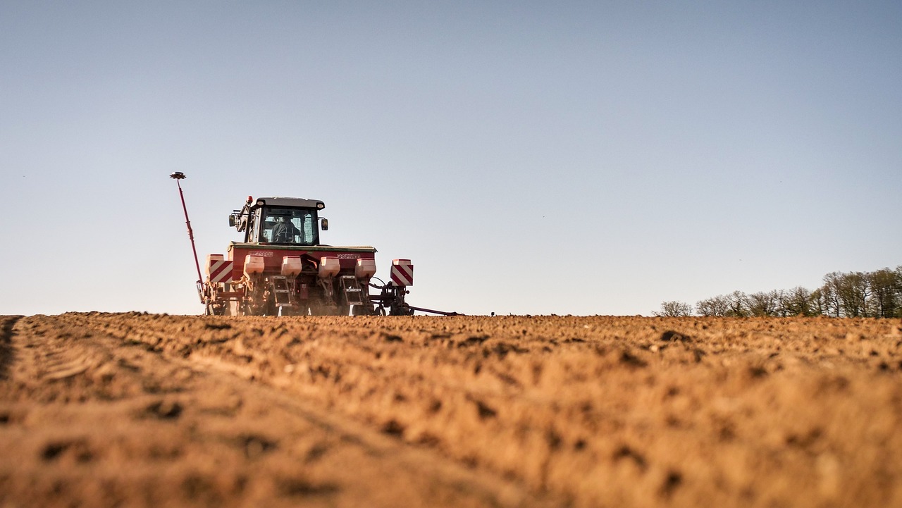 No Dia do Agricultor, há muitos que não têm motivos para celebrar a atividade cada vez menos lucrativa