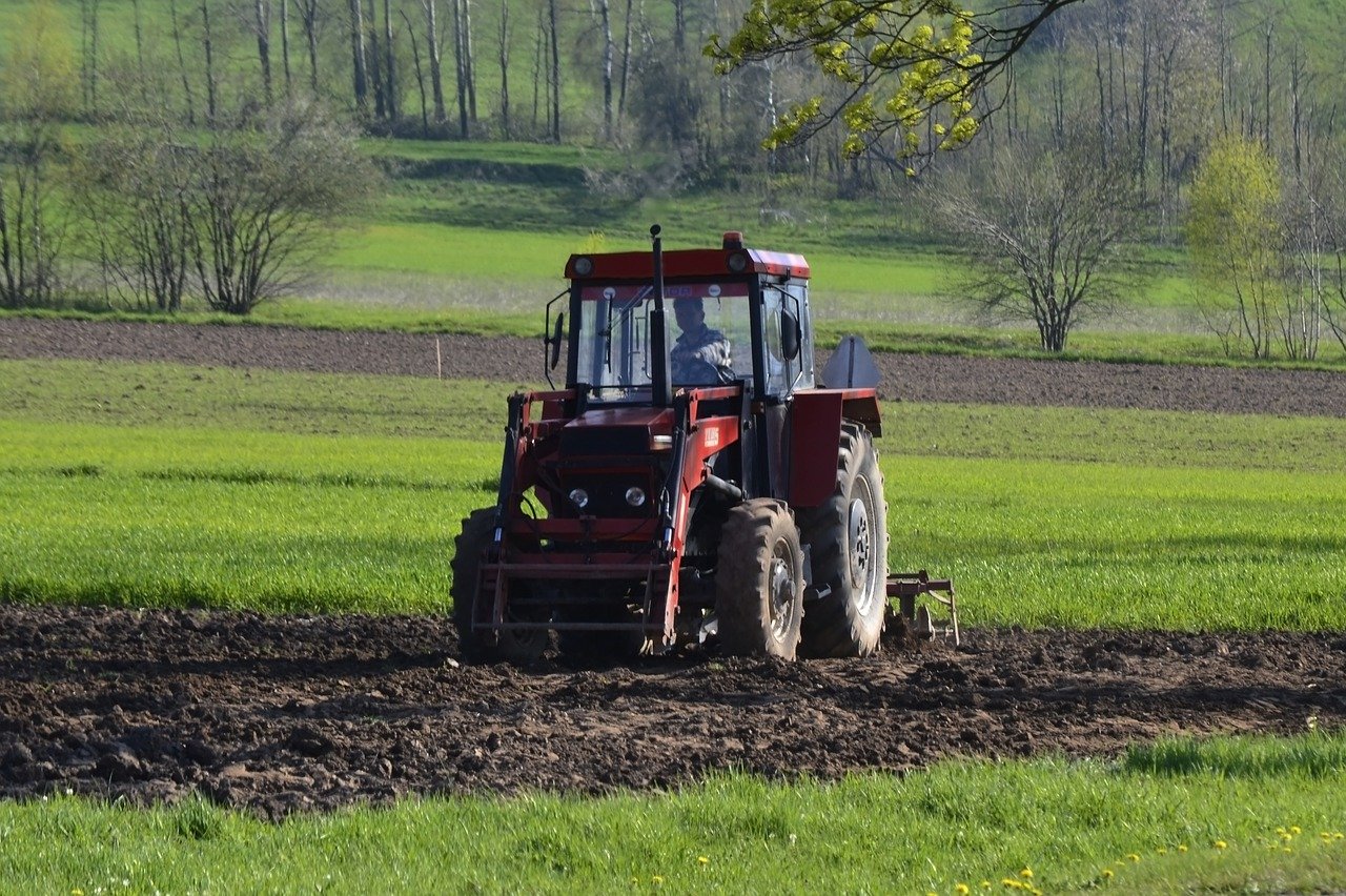 Executivo chama BEI para capitalizar empresas agrícolas, florestais e de pescas