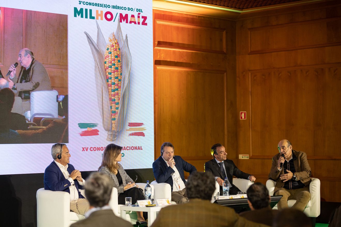 3.º Congresso Ibérico do Milho - Painel “Mercados agrícolas: que desafios e oportunidades temos pela frente?”
