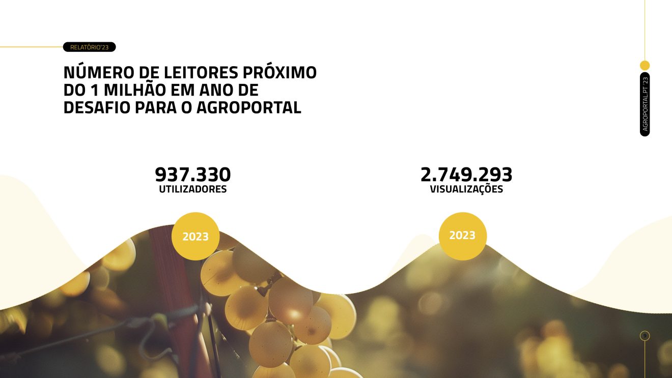 Relatório 2023: Agroportal vence ano turbulento