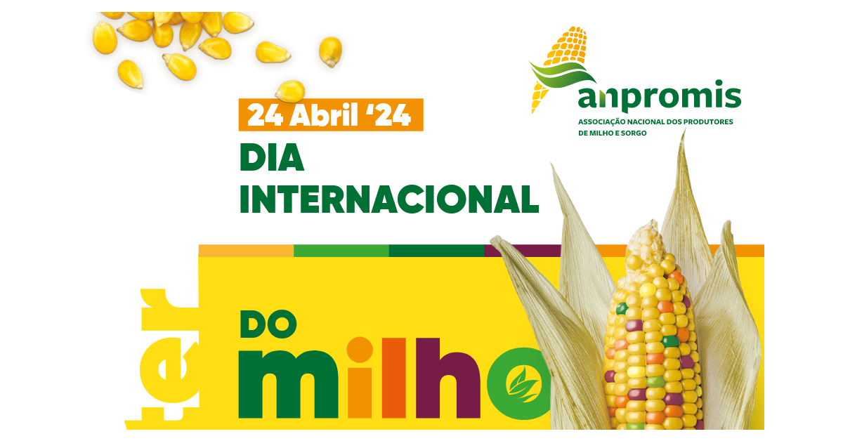 Dia Internacional do Milho 2024