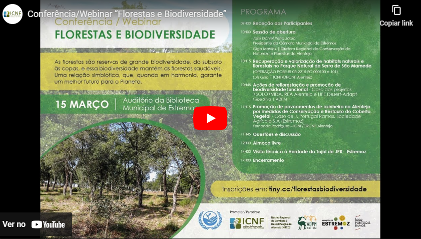 Live: Florestas e Biodiversidade
