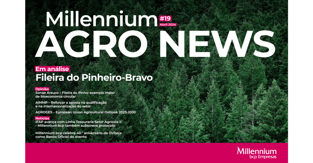 Millennium Agro News – 19.ª Edição: Fileira do Pinheiro-Bravo