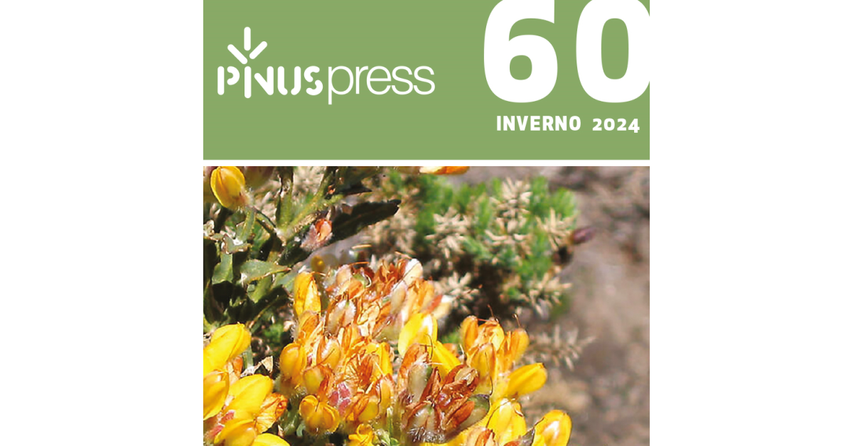 PINUSPRESS N.º 60