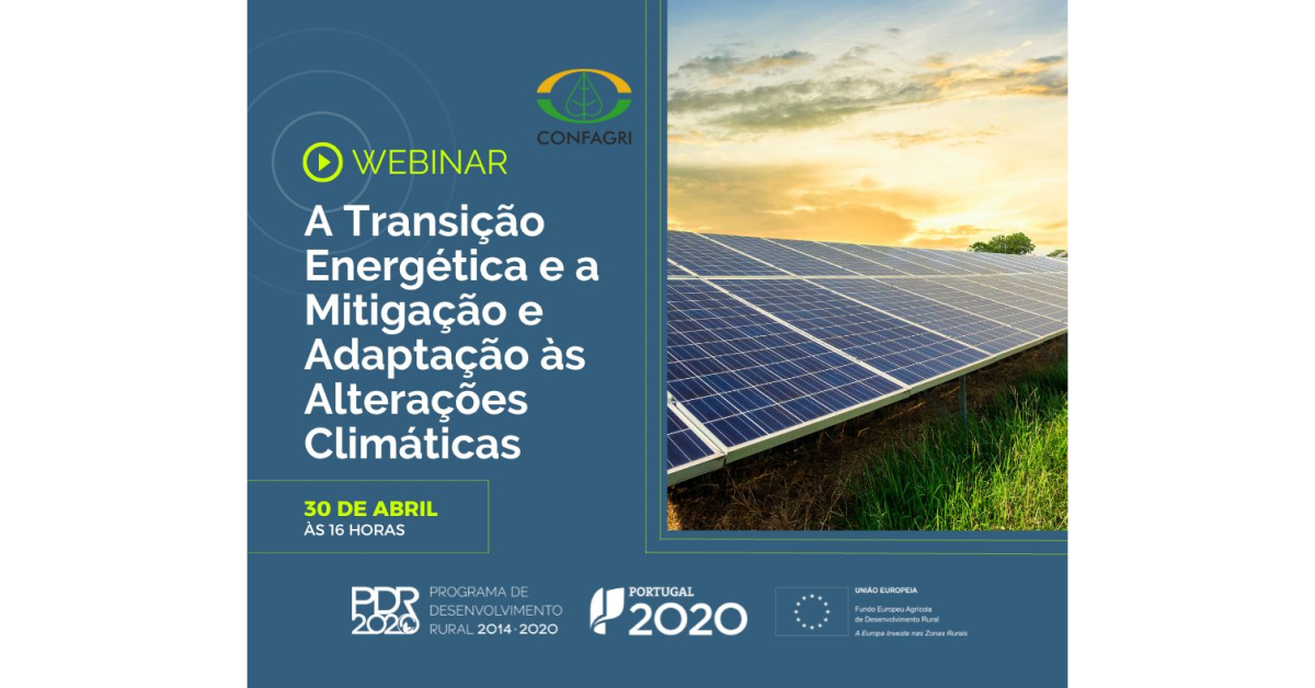 Webinar: A Transição Energética e a Mitigação e Adaptação às Alterações Climáticas - 30 de abril