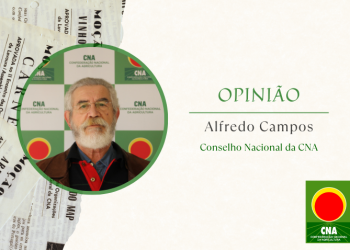 alfredo campos