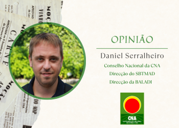 Daniel Serralheiro