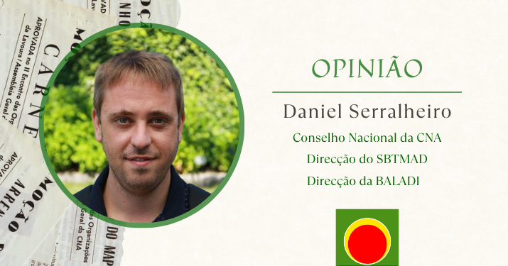 Daniel Serralheiro