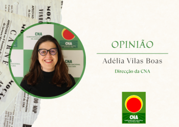 Adélia Vilas Boas