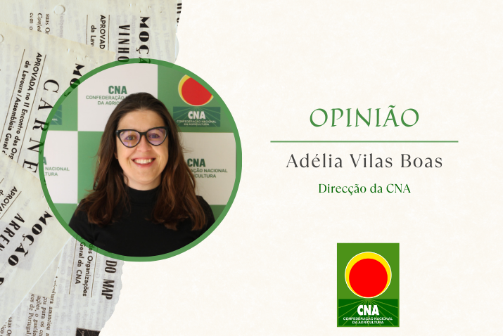 Adélia Vilas Boas