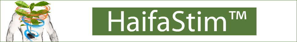 Haifa Stim