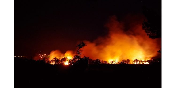 forest fire