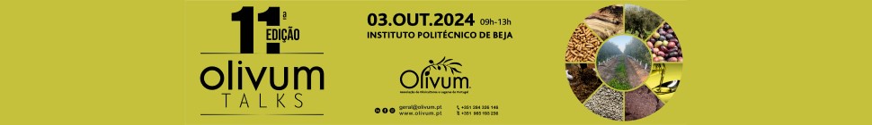 Olivum Talks - 03.OUT.2024